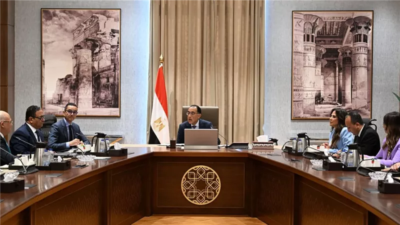 مدبولي يلتقى رئيس شركة 