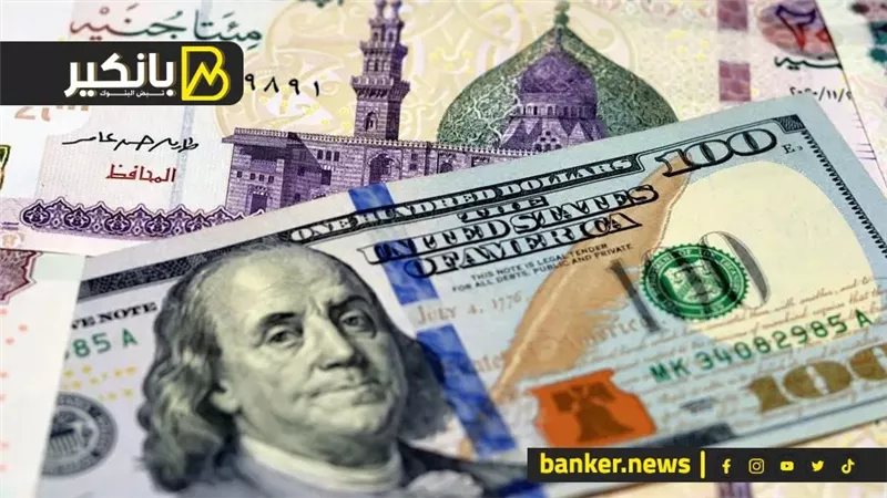 سعر الدولار أمام الجنيه المصري في تعاملات اليوم الأربعاء 14-8-2024