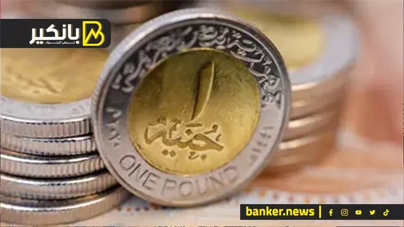 تراجع الدولار 1% من قيمته أمام الجنيه