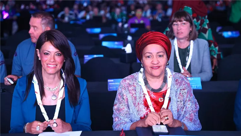 المبادرة الأممية الدولية 