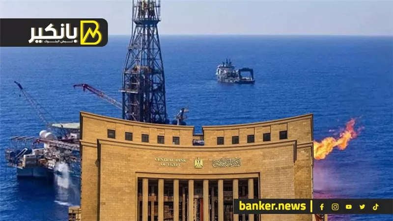 المركزي يكشف أرقاما هامة.. خطوات فعالة لجذب الاستثمارات الأجنبية.. وخبر سعيد في ملف الغاز