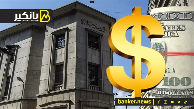 رحلة الشك وخفافيش الظلام.. ضربات المركزي اللي خلصت على أزمة الدولار