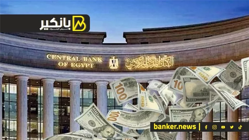 قرار المركزي المنتظر.. قُبلة حياة للأسواق ونهاية لأزمة الدولار