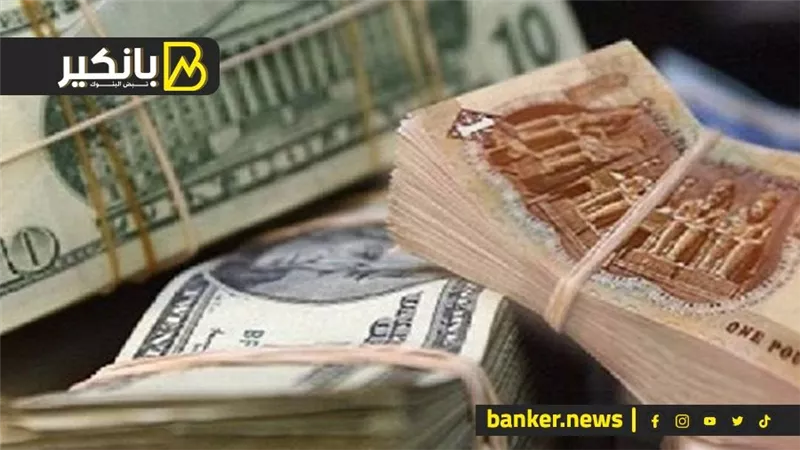 الجنيه يتجاوز “أحزان أغسطس”.. وضربات موجعة للدولار