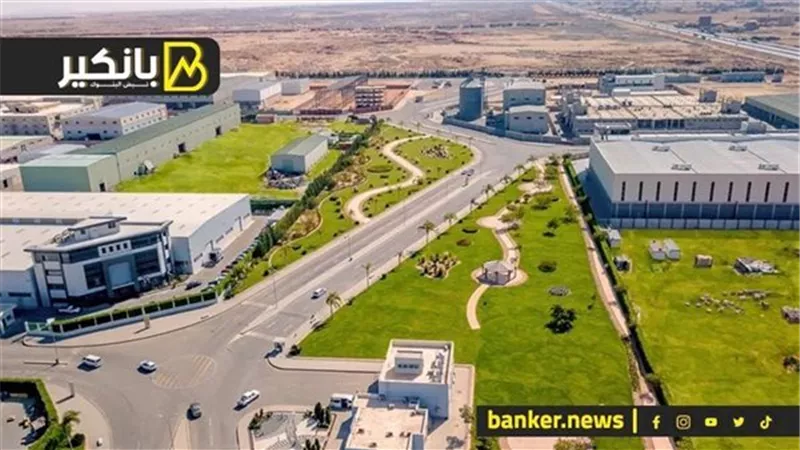 لتوفير مليارات الدولارات.. شوف الدولة بتعمل اية في قطاع الزراعة