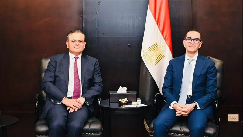 وزير الاستثمار يبحث مع وفد ستاندرد تشارترد العالمي برامج البنك في مصر بمجال تمويل المشروعات