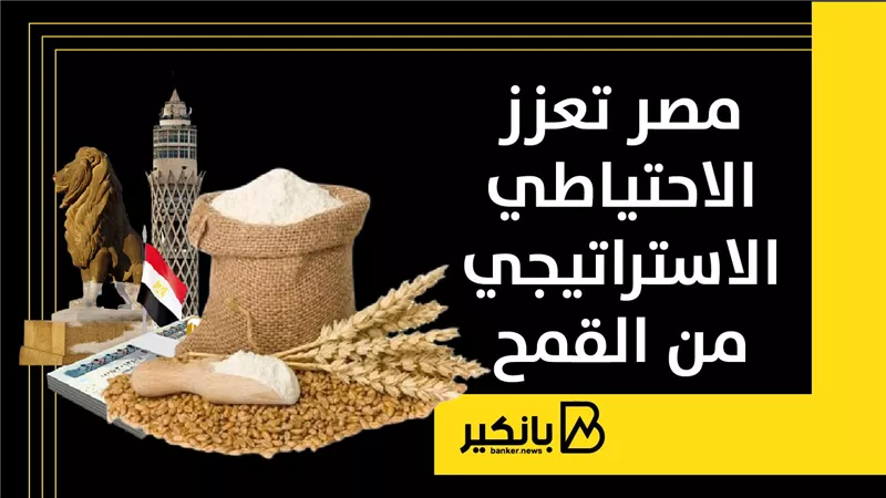 مصر تعزز الاحتياطي الاستراتيجي من القمح