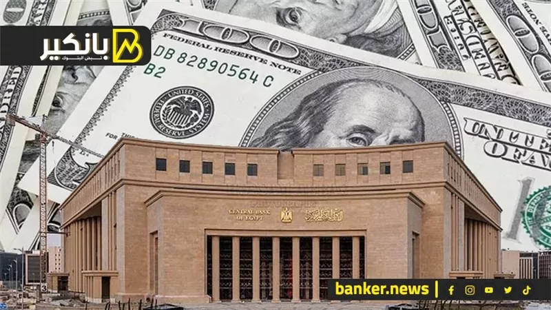مفاجأة.. لغز قرار المركزي بمنع تدبير الدولار لـ13سلعة إلا بموافقته   