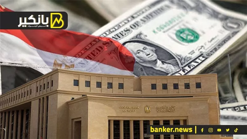 أرقام هامة من المركزي.. تراجع ديون مصر.. و20%زيادة في أعداد المستثمرين بالبورصة