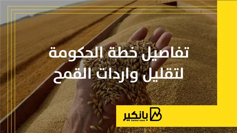 تفاصيل خطة الحكومة لتقليل واردات القمح