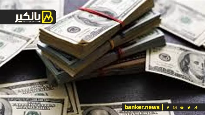 خميرة البنوك من الدولار.. لغز الودايع ومفاجأة في الأرصدة