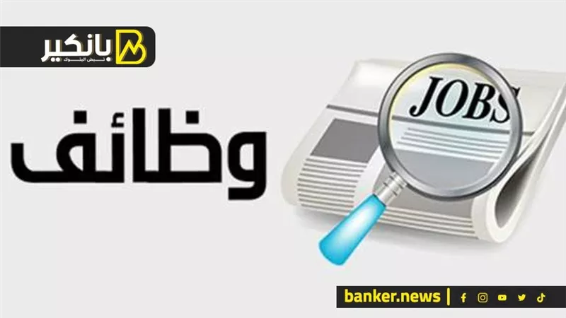 هتقبض 123 ألف جنيه.. 300 فرصة عمل للمصريين فى هذه الدولة | هذه الشروط 