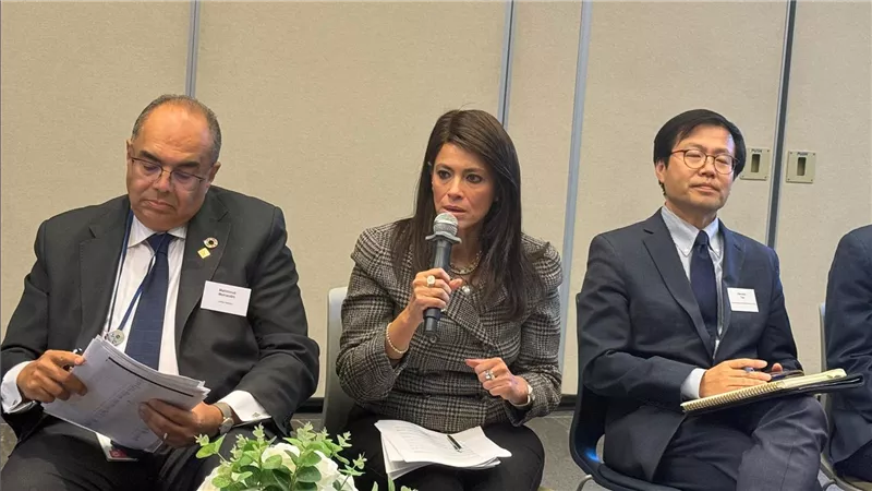 المشاط: الانخفاض في التدفقات الرأسمالية نتيجة زيادة الديون والمخاطر العالية تعوق تحقيق النمو