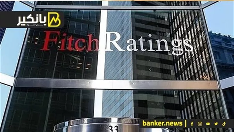 16.5مليار  دولار في عامين.. فيتش تكشف مفاجأة عن الاستثمار الأجنبي المباشر في مصر