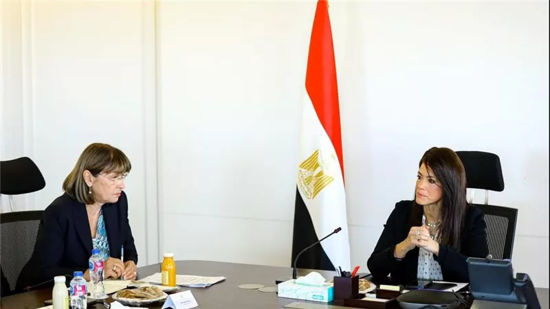 المشاط: جاري الانتهاء من اللائحة التنفيذية لقانون التخطيط
