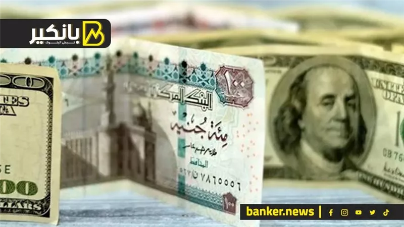 سعر الدولار أمام الجنيه المصري في نهاية تعاملات اليوم الخميس 14-11-2024