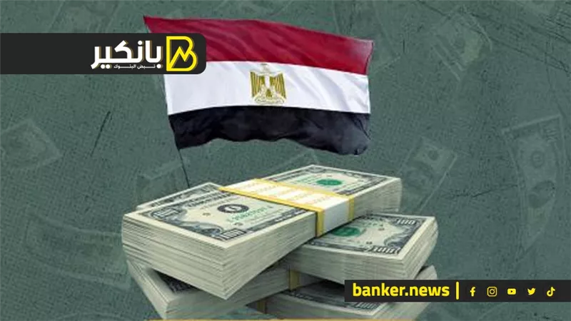 النفوذ المصري.. قوة مصر العظمي شوف اللي جاي