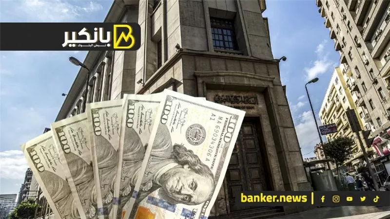 خطة البنك المركزي للقضاء علي أزمة الدولار في مصر
