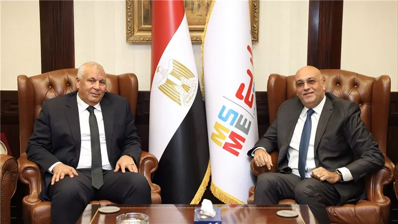 تعاون بين جهاز تنمية المشروعات ومحافظة الوادي الجديد لتوطين صناعة الحرير في مصر