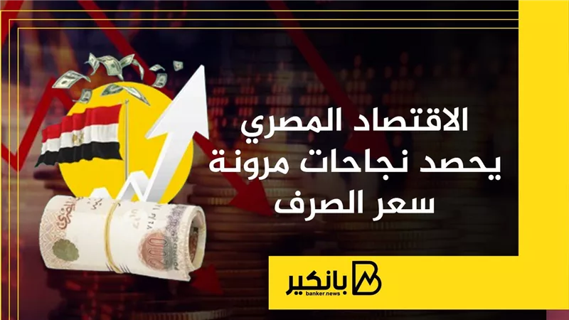 الاقتصاد المصري يحصد نجاحات مرونة سعر الصرف