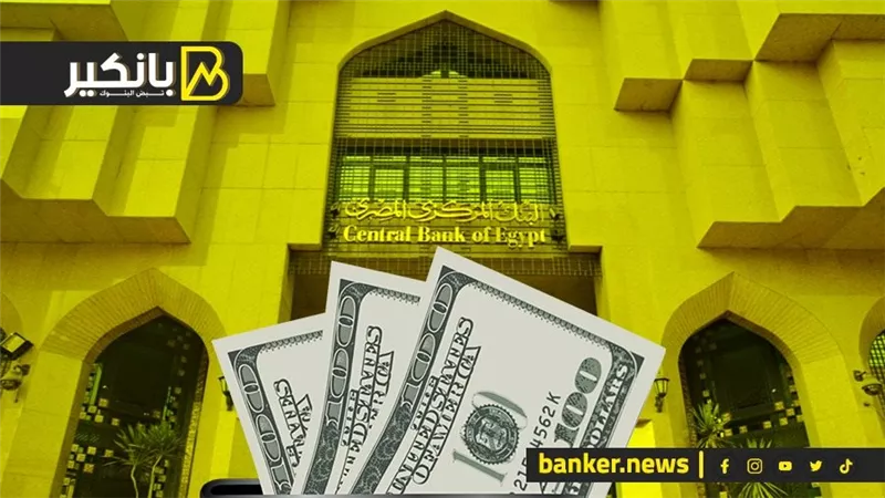 تحرك جريء من المركزي قبل نهاية 2024.. مورد جديد للدولار يدعم الاحتياطي النقدي