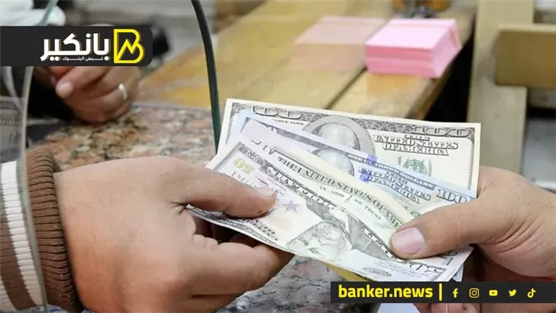 سعر الدولار أمام الجنيه المصري في تعاملات اليوم الأحد 8-12-2024