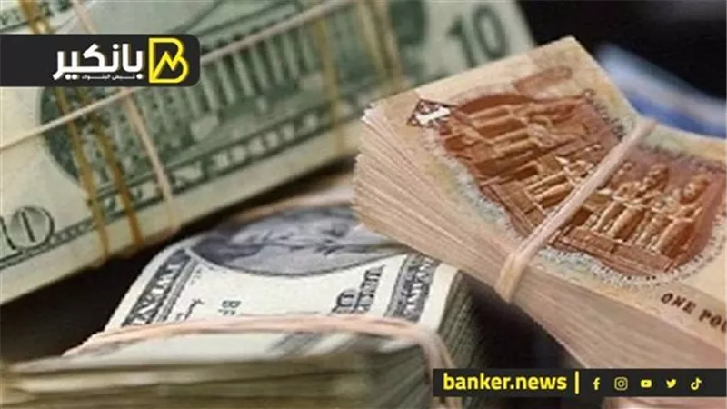 الدولار يقترب من 51 جنيهًا في بنوك مصر مصر .. قرار هام للبنك المركزي