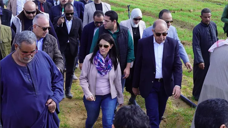 المشاط: 62 مليار جنيه استثمارات لتنمية محافظات الصعيد بخطة العام المالي الجاري