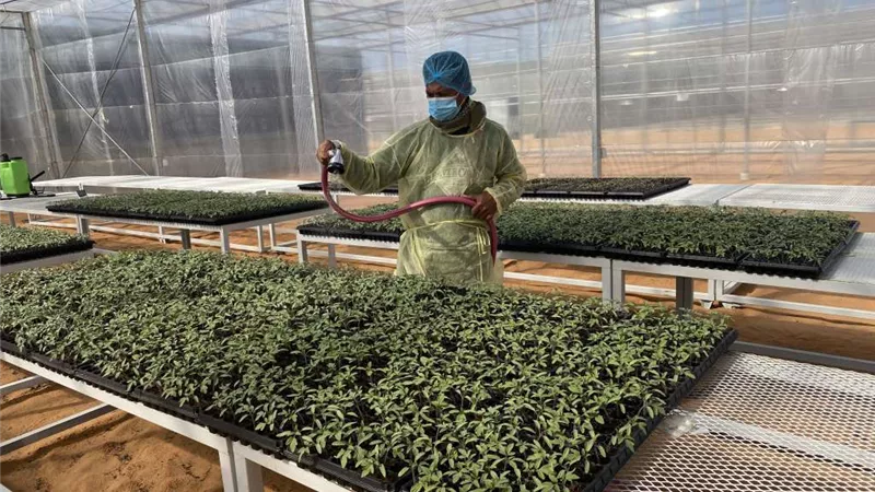بمساحة تتخطى 916 فدانًا.. مصر تدشن أضخم مركز إقليمي للنباتات الطبية في بني سويف   
