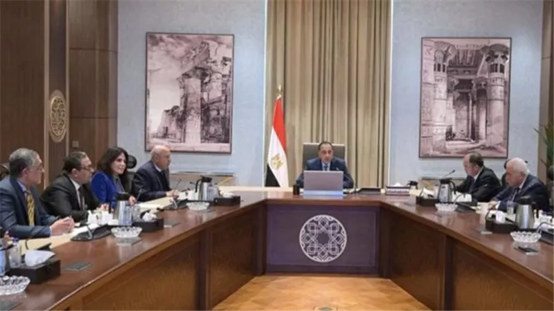 مدبولي يلتقي رئيس أكبر شركة صينية لتصنيع إطارات السيارات لبحث إنشاء مشروعين جديدين في مصر 