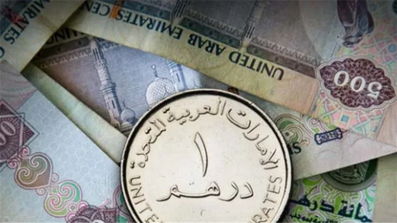 سعر الدرهم الإماراتي أمام الجنيه المصري في تعاملات اليوم الثلاثاء 14-1-2025