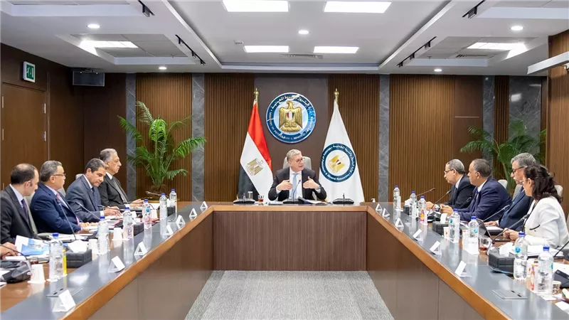 المهندس كريم بدوي