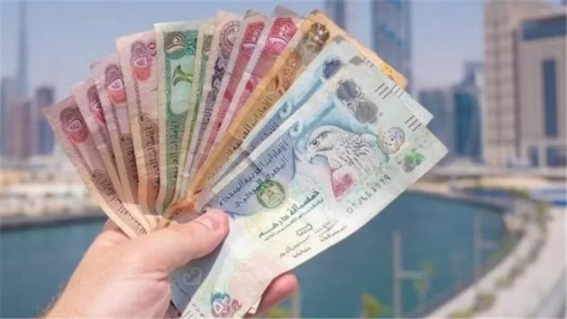 سعر الدرهم الإماراتي اليوم.. تعرف على أعلى سعر للشراء وأقل سعر للبيع في البنوك