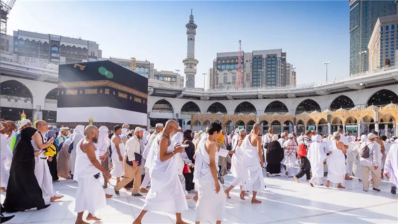 الحكومة توضح حقيقة إيقاف شركات السياحة على منصة 