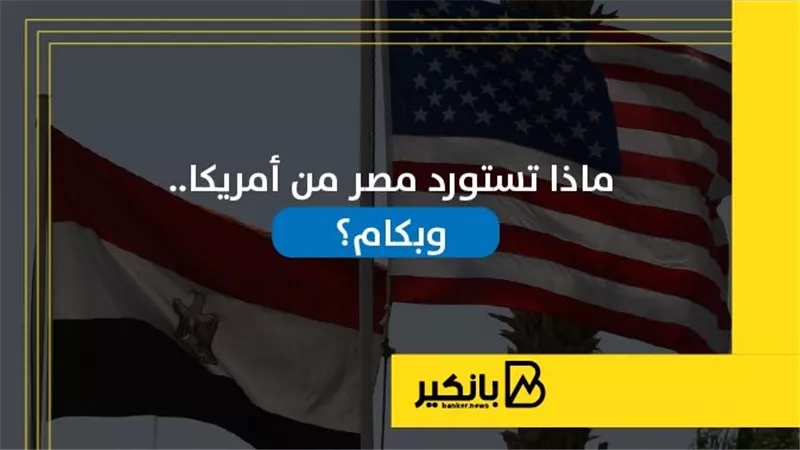 ماذا تستورد مصر من أمريكا.. وبكام؟ | إنفوجراف
