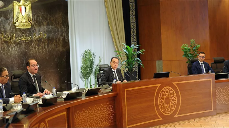 وزيرا المالية والاستثمار: السماح للشركات بإنشاء مراكز خدمات لوجستية لتداول وتوزيع البضائع