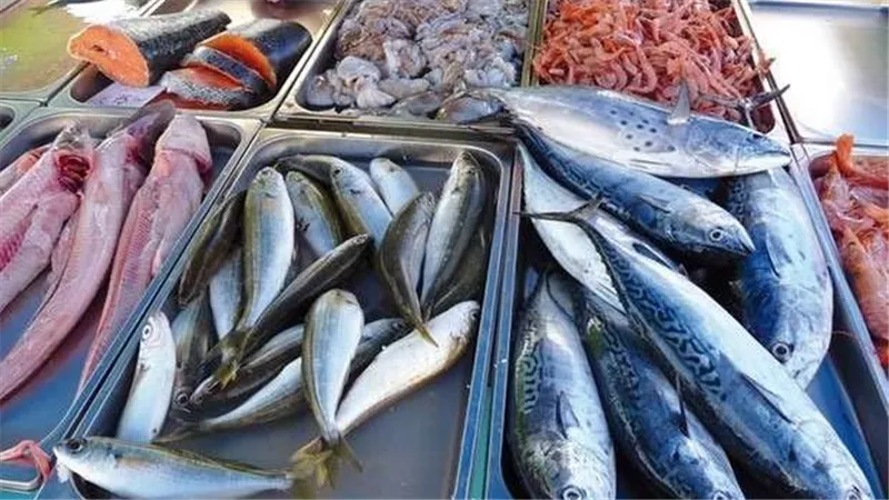 أسعار السمك اليوم.. البوري يسجل 200 جنيه في سوق العبور