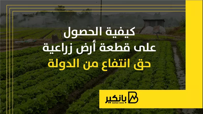 كيفية الحصول على قطعة أرض زراعية حق انتفاع من الدولة | إنفوجراف