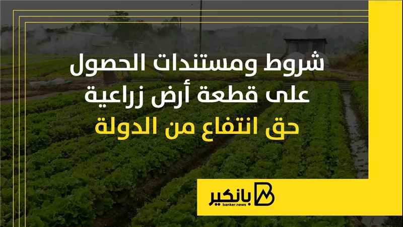 شروط ومستندات الحصول على قطعة أرض زراعية حق انتفاع من الدولة | إنفوجراف