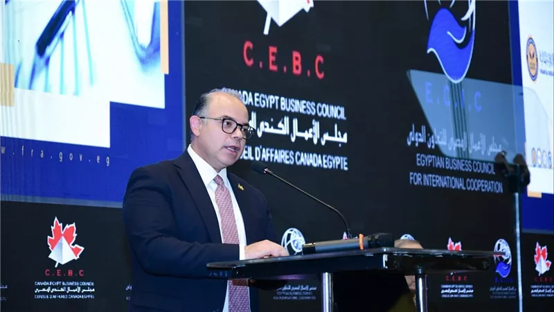 رئيس الرقابة المالية: نحتاج لزيادة نشاط بنوك الاستثمار في التوعية بصناديق التأمين الخاصة