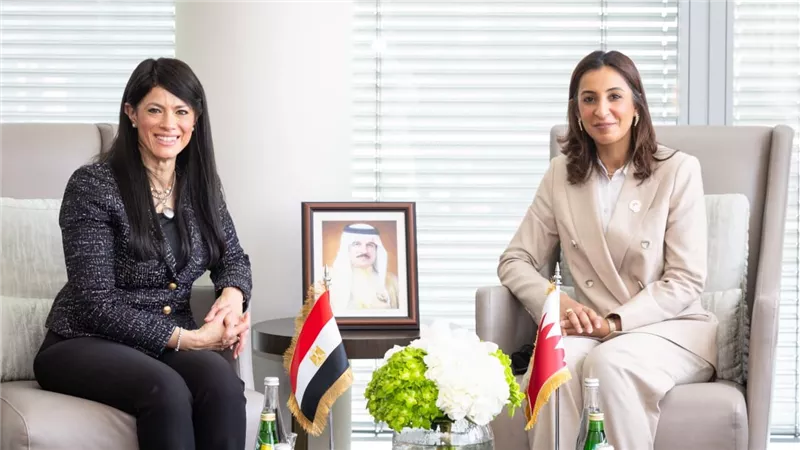المشاط: تنويع مصادر التمويل للخطط والبرامج التنموية ودفع آليات الشراكة مع القطاع الخاص
