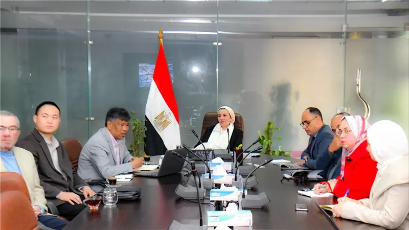 شركة صينية تعتزم ضخ استثمارات لتوطين تكنولوجيا زراعة الغابات في مصر