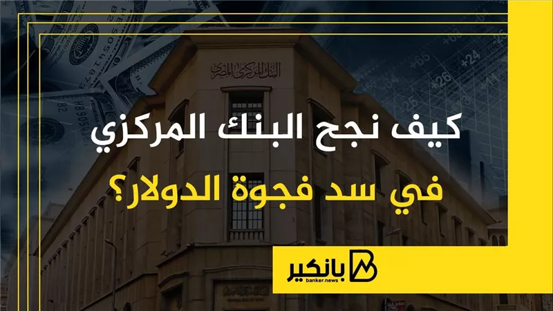 كيف نجح البنك المركزي المصري في سد فجوة الدولار؟ | إنفوجراف