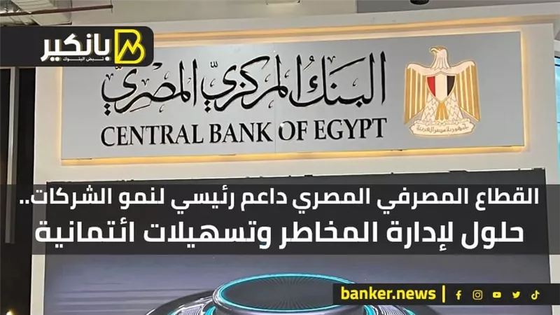 القطاع المصرفي المصري داعم رئيسي لنمو الشركات.. حلول لإدارة المخاطر وتسهيلات ائتمانية