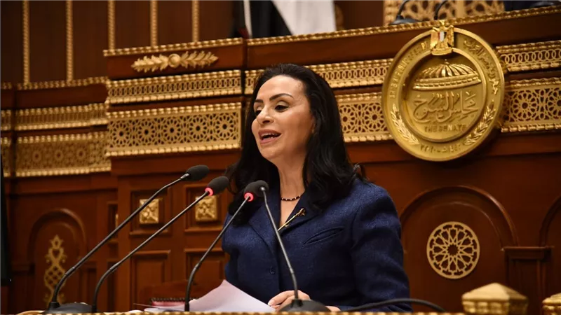 وزيرة التضامن: العمل مع المالية والتخطيط لزيادة مخصصات برامج الحماية الاجتماعية