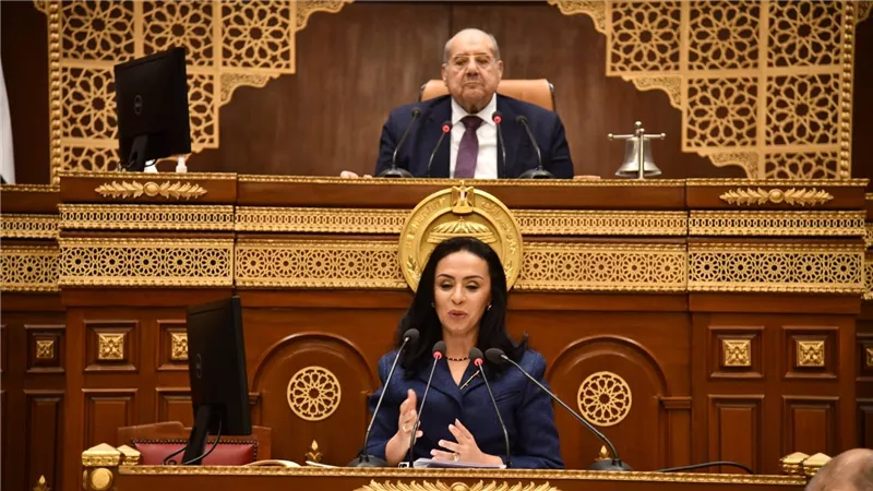 وزيرة التضامن توجه بصرف مساعدات عاجلة لأسر ضحايا حادث مصنع المحلة