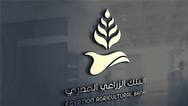 كل ما تريد معرفته عن تمويل المحاصيل من البنك الزراعي المصري في 2025  