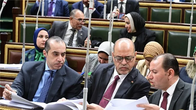 مجلس النواب يوافق على مشروع قانوني العمل والمسؤولية الطبية