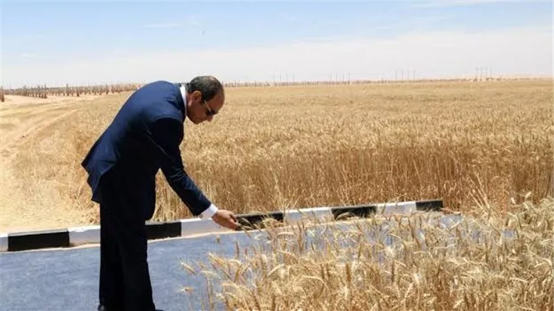 مشروع التنمية الزراعية بشرق العوينات.. مصر تحقق المستحيل بقلب الصحراء
