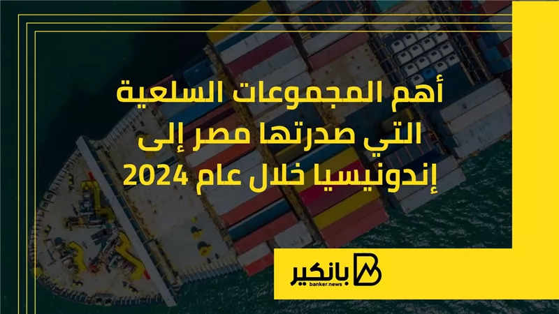 أهم المجموعات السلعية التي صدرتها مصر إلى إندونيسيا خلال 2024 | إنفوجراف 